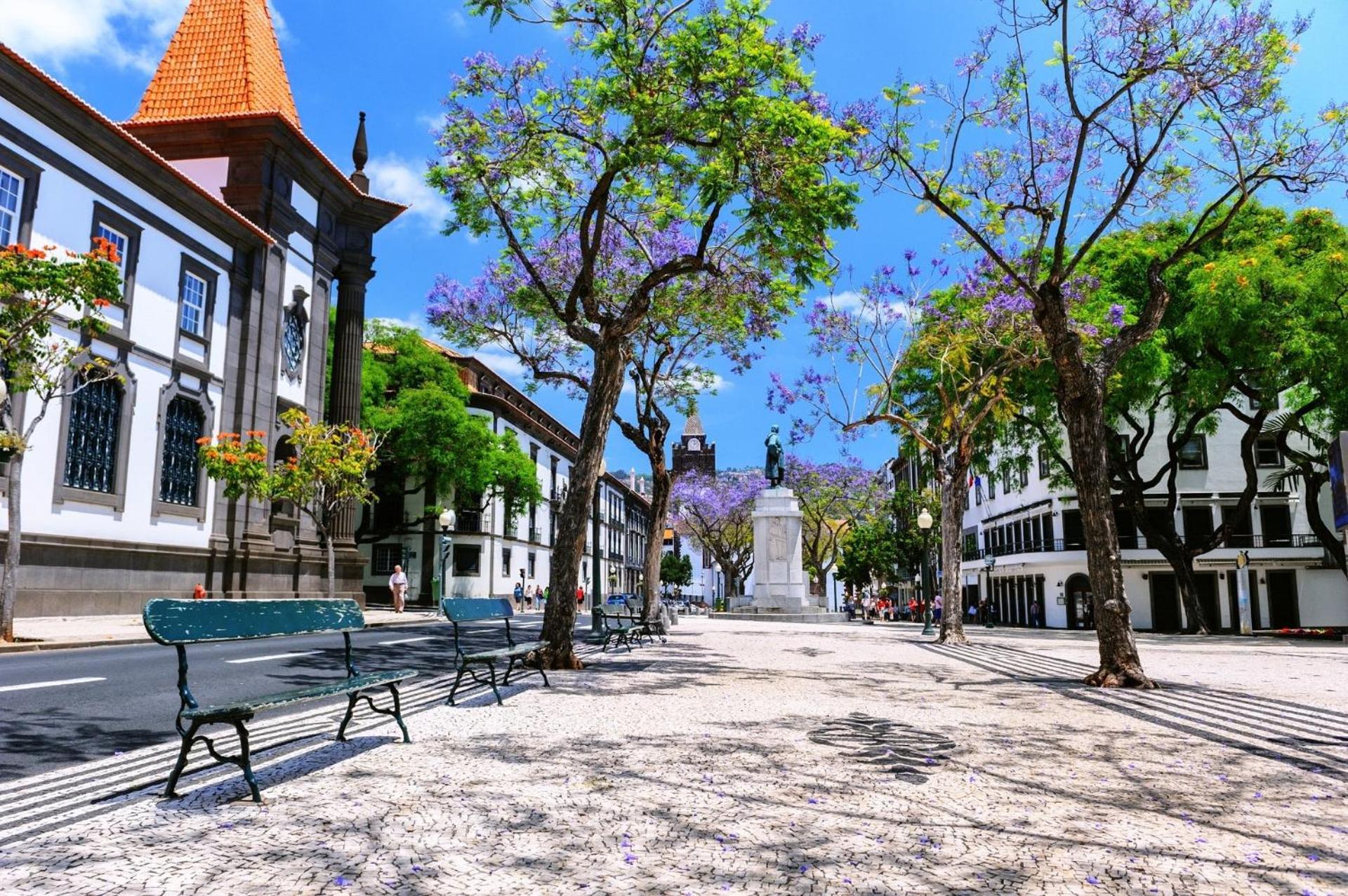 Barreirinha Front-Line Sea View I By Hr Madeira Apartment Funchal  Ngoại thất bức ảnh